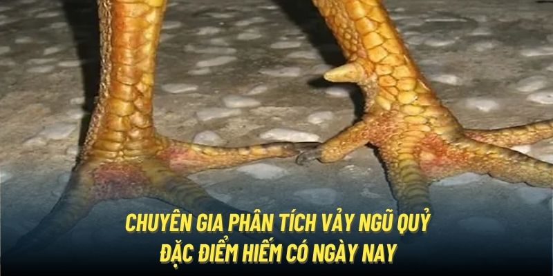 Chuyên Gia Phân Tích Vảy Ngũ Quỷ - Đặc Điểm Hiếm Có Ngày Nay